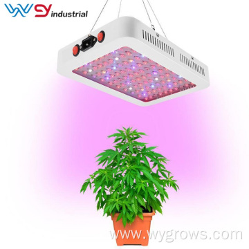 Double Switch BLOOM/VEG 600W LED Plant Grow Light